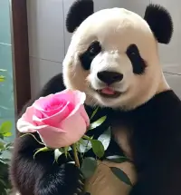 有堅定的信念時
你就不會輕易的被營銷被洗腦
理解了幸福就是身體的無病痛和內心的無困擾之后，你心的能量會越來越強大。配圖