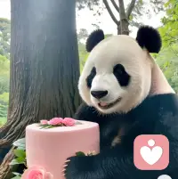 幸福只存在于接納之中。配圖