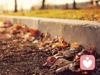 經(jīng)常為昨天而嘆息，容易產(chǎn)生抑郁情緒，經(jīng)常為明天而煩惱，容易產(chǎn)生焦慮情緒。最合時宜的做法是，盡可能多地活在當(dāng)下。配圖