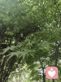 我们为何需要修心、修性？
因为房间需要经常打扫，不然就会很快落满灰尘，人的心灵也是如此
那些看不见、摸不着、感觉不到的心尘
唯有靠自我修炼才能使心灵时时保持洁净、澄澈