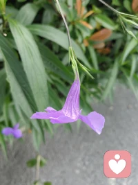 成功和幸福的人，有两种特质：
一是感恩，二是慷慨。

感恩，让他一直觉得他周遭遇到的都是好人好事，吸引力法则，他自然越来越幸福和成功。

慷慨，让他觉得自己是富有的，只有富有的人，才给得出。