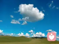 慢语深思  慢事细做  慢享生活