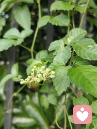 一念一因果，一叹一花落
世间本无对错，何必把心锁
一笑一洒脱，半生匆匆过
常遍人间苦乐，方知我是我