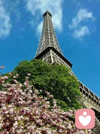 .●

前方的路、星空的夜，讓人遐想。攜妻溫柔的雙手，邁步神州大地。

                 從炎暑到寒冬，從芳春到金秋。

 我自釀人生美酒，一杯敬妻子幸福、一杯敬自由遠方!配圖