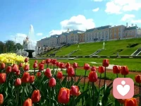 .●

前方的路、星空的夜，讓人遐想。攜妻溫柔的雙手，邁步神州大地。

                 從炎暑到寒冬，從芳春到金秋。

 我自釀人生美酒，一杯敬妻子幸福、一杯敬自由遠方!配圖