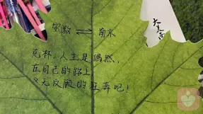 证书