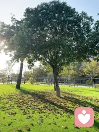 当心灵的重负使你的精神濒于崩溃，只要减一分便能得救时，也未必有人动这一举手之劳，因为具备这个能力的人多半觉得自己有更重要的事要做，压根儿想不到那一件他轻易能做到的小事竟会决定你的生死。心境不能沟通，这是人类生存的基本境遇之一，所以每个人在某个时刻都会觉得自己是被弃的孤儿…