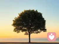 对改变他人不抱任何的希望，正是最深刻的自我改变
——曾奇峰