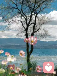 “混乱是你成长的一部分。当你感到焦虑或沮丧时，不要轻易相信自己生病了，你可能正处于觉醒的边缘。”