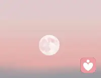 成长是一个体力活，你再聪明再天才，你也得下场，你也得在炼狱里捶打，在阴沟里翻滚，在粪坑里爬行，成长就不是啥高大上优雅美好清新脱俗的东西，就是一场又一场的笨拙又痛苦，煎熬着又不时伴着点清风徐来的深度自我觉知。