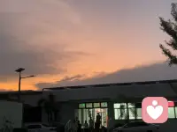 命里有时终须有，命里无时莫强求。配图