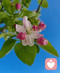 只有自我足够稳定，
我们才可以不随波逐流，
不会被人轻易带走。
自我足够稳定，
不管外界发生什么事，
我们都稳稳地扎根于自己的内在。
外面大浪滔天，
水下静水流深。配图