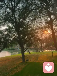 沉溺在旧的关系里，就不可能有新的关系。创伤最大的坏处，是让人在原地不能前行。

这个世界上没有真正的孤独，所有孤独都是和原始养育者“在一起”。回避新关系，是为了守住内心旧关系的“安宁”。-曾奇峰