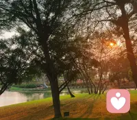 成瘾源于根本性的缺失，主体放弃经由关系的欲望，转向直接、痛苦又愉悦的享乐，用成瘾物徒劳填补存在的空洞。