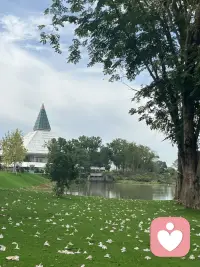 和对的人在一起：            
你的呼吸会自然变深。       
肩膀会悄悄放下。            
不用伪装、不用表演、不用小心翼翼。                    沉默不尴尬，相处不费力。                                    离开后是精力回升，不是被掏空。配图
