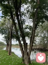 和对的人在一起：            
你的呼吸会自然变深。       
肩膀会悄悄放下。            
不用伪装、不用表演、不用小心翼翼。                    沉默不尴尬，相处不费力。                                    离开后是精力回升，不是被掏空。配图