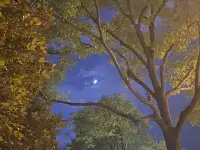 平凡，是最不平凡的事情配圖