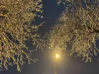 生存的基础是物质条件，也就是为别人生产或者服务获取报酬，这个需要一定的知识文化和劳动能力，提升这些，特别需要心理层面的成长发展，也就需要父母或者师父的带领。
如果没有，就是按照本能野蛮生长，非常艰难，成功的概率很低。
因为人本身是自恋的，特别需要得到别人的肯定，而没有成熟的个体是不太会去给别人提供情绪价值，也没有能力去给别人提供别的价值，自然就容易受挫，更加需要一些活动提供自我满足，但是内心仍然空虚，无法专注提升自我素养和能力，这就陷入了一个恶性循环。
如何去打破这个循环，在阅读和工作中感悟，深入内心的想法，做到知行合一，也就是知道自己想要什么，行为和想法是一致的。比如说，一个人说要减肥，但是控制不住自己的食欲，依然胡吃海塞。这就是知行不合一，因为 ta 想要的并不是苗条身材的满足，而是美食的快感，或者说，ta都想要，这就不合理。反而，当一个人知道自己想要美食的快乐，认真品味美食，慢慢阈值升高，越来越不在乎美食了，才有可能真正去控制食欲，减肥瘦身。