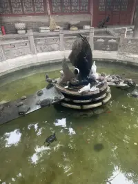 人生的意义，其实很简单
身体健康，内心平静
其实这两个做到是很难的
可以指向终极意义
还有一个可以说是更基础的
做自己想做的
不做自己不想做的事情
