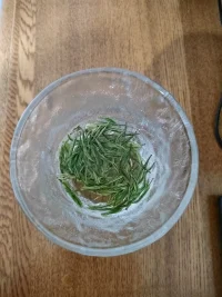 感谢安吉朋友赠予的明前茶。配图