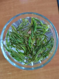 我們寧可沉浸在他人的關(guān)注里
也不愿獨(dú)自享受內(nèi)心的盛宴
?…………配圖