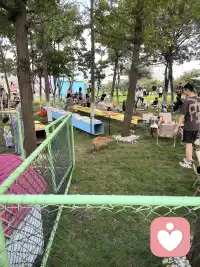 長(zhǎng)假歸來，開始工作配圖