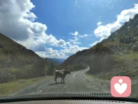 決定自己的不是環境等外在因素，而是自己。既然生而為人，就永遠有其他的生存方式配圖