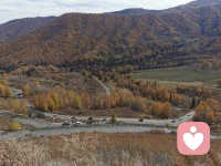 人之生也柔弱，其死也坚强，
草木之生也柔脆，其死也枯槁。
故坚强者死之徒，柔弱者生之徒。
是以兵强则灭，木强则折。
强大处下，柔弱处上。配图