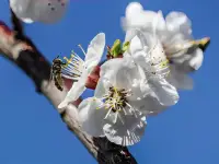 事壓不垮人，但情緒會壓垮人，要學會和自己和
解，做自己的心理師。配圖