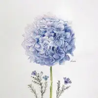 每個人的人生里都會遇到一場措手不及的大雨，若你身陷雨中，愿有人為你撐傘；如果沒有，也愿你有聽雨的心情。配圖