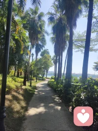 想带你去看晴空万里
想大声告诉你
我为你着迷
往后余生
都是你
目光所至
都是你