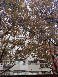 兩個情緒特別穩定的雙方那一定是真愛配圖