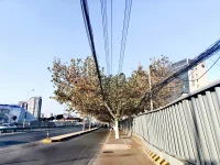 來訪者說：我失業(yè)了，老公把我介紹給他人就會(huì)說，這是“我太太”，我不想打著他的旗號(hào)。我心里有些不舒服了？是不是過去敏感了？配圖