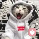 陌离今天也要开心鸭的头像