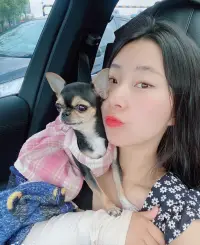 小動物可以治愈你的壞心情配圖