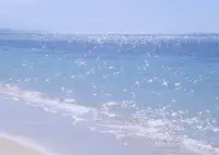 缘分尽时求不来，求了就进入了求不得苦，缘分未尽离不开，离了也会再相遇。走好自己的路，守好自己的心，随遇而安，没有什么不可能，一切皆有可能。配图