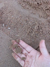 看海心寬格局大、看沙方知浪淘沙、看荷才懂出淤泥，心的緯度提升了看景就是看人生。驚濤駭浪是為了讓沙石沒有棱角，與人接觸時越來越精細(xì)舒服，是為了把臟東西排到岸邊不在海的心里。困苦磨難是為了讓我們沒有棱角，與人相處時越來越隨和細(xì)心舒服，是為了讓自己的心里不裝閑事，能把各種情緒轉(zhuǎn)化提純提凈。配圖