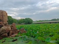 看海心寬格局大、看沙方知浪淘沙、看荷才懂出淤泥，心的緯度提升了看景就是看人生。驚濤駭浪是為了讓沙石沒有棱角，與人接觸時越來越精細(xì)舒服，是為了把臟東西排到岸邊不在海的心里。困苦磨難是為了讓我們沒有棱角，與人相處時越來越隨和細(xì)心舒服，是為了讓自己的心里不裝閑事，能把各種情緒轉(zhuǎn)化提純提凈。配圖