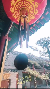 文殊菩薩說：只要你來五臺山，你就能看到我。只不過你不知道哪一種形態是我。我可能是一朵花，一棵樹，一只貓，也可能是你心里掛念的那一個人。配圖