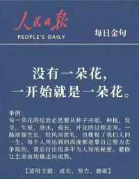 一花一世界，一樹一菩提配圖