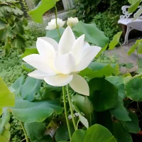 如果放棄真的那么容易，誰又會選擇卑微的糾纏，道理誰都懂，可是真正愛過的人，又怎么會輕易放手。如果放不下，可以來找我聊聊。配圖