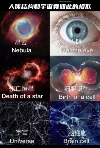 人體結構和宇宙竟如此相似，你就是自己的小宇宙，要愛自己喲。配圖