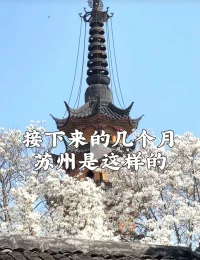 4月：櫻花、黃木香、月季、薔薇
√：櫻花
上方山國家森林公園、譚東村、銅觀音寺、秀岸站
√：木香、月季、薔薇
平江路

5月：木香花、月季、薔薇配圖