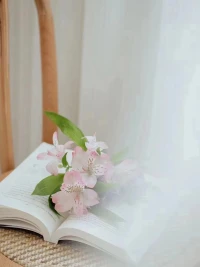 早安，把握每一分每一秒
生活便不會(huì)辜負(fù)你配圖