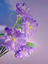 成長不是學知識，成長是心智模式的升維，需要持續的修行。

最好的修行是帶著覺察去生活。配圖