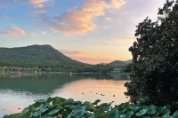 出身中醫世家的宋兆普院長說：世間有病皆有其法皆有其藥，只可惜世人不知其法而已。配圖