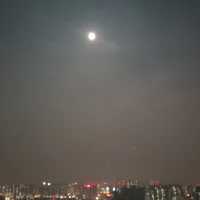 經歷太多，人的感受會麻木。
