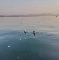 万事万物都在变化之中，时间好比一条激流，你刚刚看见一样事物，它便消失了，又出现了一样，但也即将消失。—《沉思录》配图