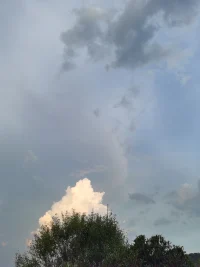 比解決問題的思維更高級(jí)的是，找出問題的紋路，找出心理的紋路，然后順應(yīng)規(guī)律自然。配圖