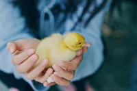 【成長感悟】人的成長有一種很好的方式，就是跟別人相處，把我們的態度拋出去，然后別人給你對應反饋彈回來。一去一回的過程中，如果一致我們會覺得欣喜愉悅，發現自己在這個世界上并不孤單；如果不一致我們一開始會憤怒，然后反思去消除憤怒，但慢慢地也會開始了解自己了解別人更多的可能性，通常人會學著求同存異學著去適應，不過也有一部分人會想著去改變周遭。所以，不一樣的經歷會給人不一樣的回憶和成長，幸福會讓人溫暖的愛世界，而苦難可能會讓人大徹大悟浴火重生。配圖